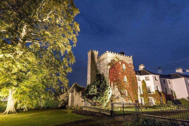 Отель Barberstown Castle Straffan Экстерьер фото