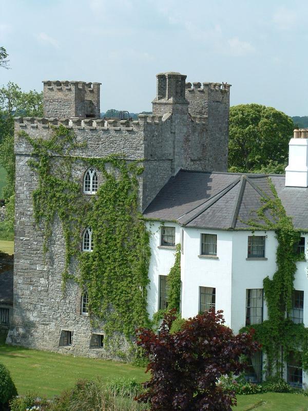 Отель Barberstown Castle Straffan Экстерьер фото